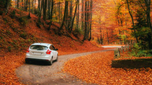 Car driving on autumn curvy road with orange leaves